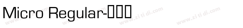 Micro Regular字体转换